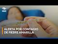 Alerta por contagio de fiebre amarilla en Colombia: recomendaciones para temporada de vacaciones