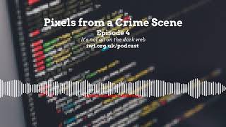 Pixels from a Crime Scene Podcast: Episode 4 - It's not all on the dark web