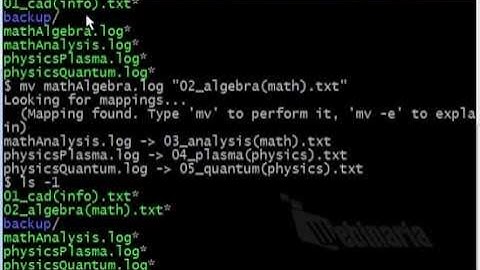The Best Way to Rename Multiple Files at Once Using Examples