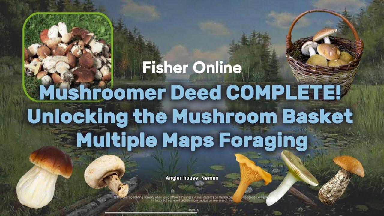 Завершение грибного дела! Разблокировка грибной корзины Добыча пропитания Фишер Онлайн