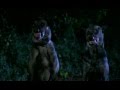 Dobermans in movie -- 32 (part 2) -- Доберманы в кино