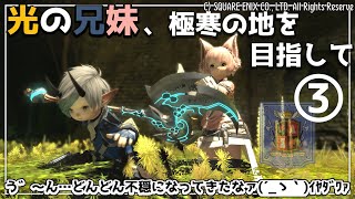 【 #FF14 】１７回目：久々のこの、不穏な感じ…嫌だなァ(´_ゝ｀)〜 #光の兄妹 #ヒカセン #ネタバレ （Gaia／Ultima）