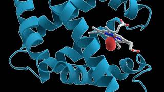 Biomolecules | Wikipedia audio article