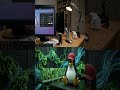 Los 4 problemas más comunes después de instalar Linux 1