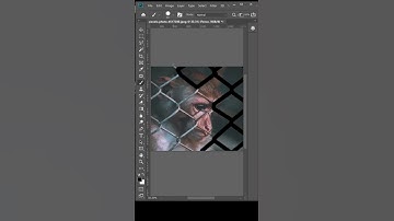 Remove Fence with 3 Simple Steps in Photoshop! | Photoshop Tutorial