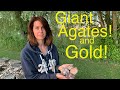 Giant Agates and GOLD!!!!