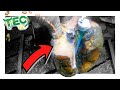 PROJECTILE PUS POP FROM COW'S FOOT!!! INSTANT RELIEF | TEC TV