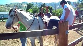Mounting a Horse While Drunk Fail
