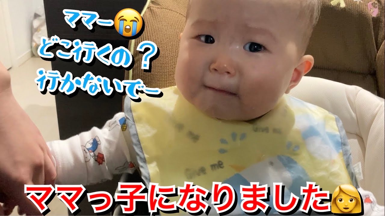 生後2日目 完全にママっ子になりました Youtube