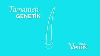 Gillette Venus Ile Ürüzsüzgerçekler Tıraş Olmak Tüyleri Kalınlaştırmaz