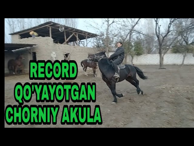 Viktoriya Maslova yalangoch