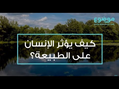 فيديو: تأثير الإنسان على الطبيعة. التأثير الإيجابي والسلبي: أمثلة