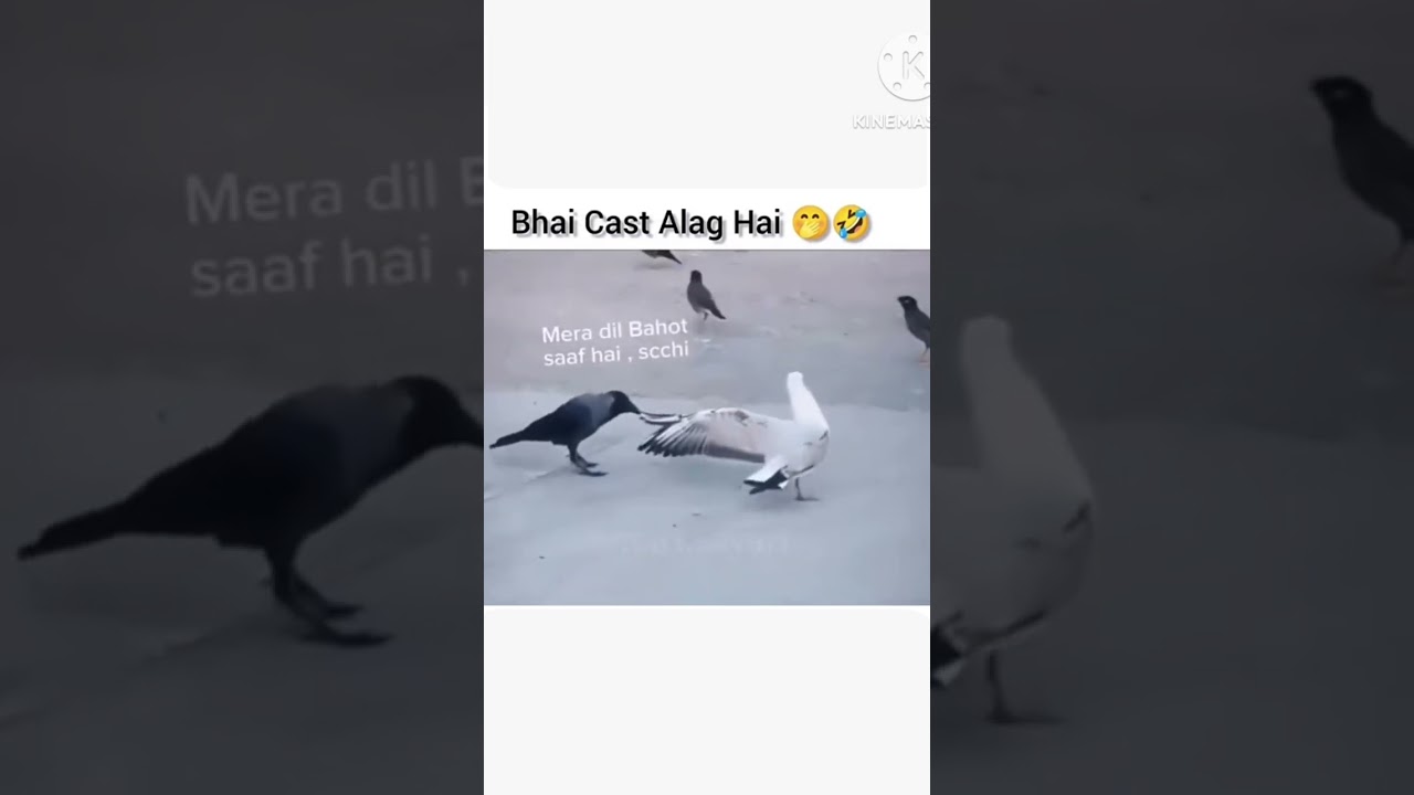 mori kalai na moro Piya song funny edit 🤣😆😄 