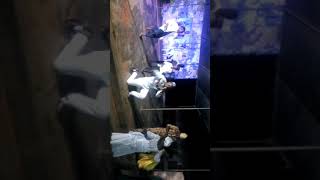 Prince Celeste Gantin