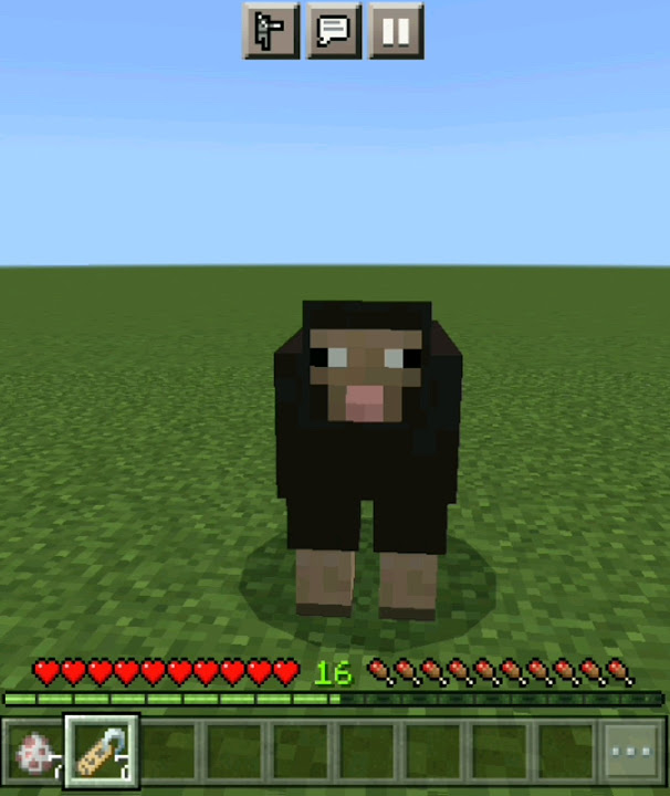 Разноцветная овца в Майнкрафте #minecraft #подпишись #поставьлайк - YouTube