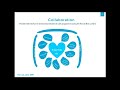 Paul Kaplan's Presentation