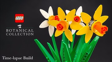 𝗗𝗔𝗙𝗙𝗢𝗗𝗜𝗟𝗦 • LEGO Botanical Collection 40646 • Time-lapse Build