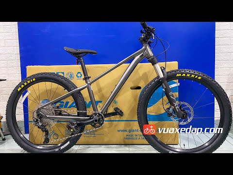 Video Xe đạp leo núi GIANT STP 26