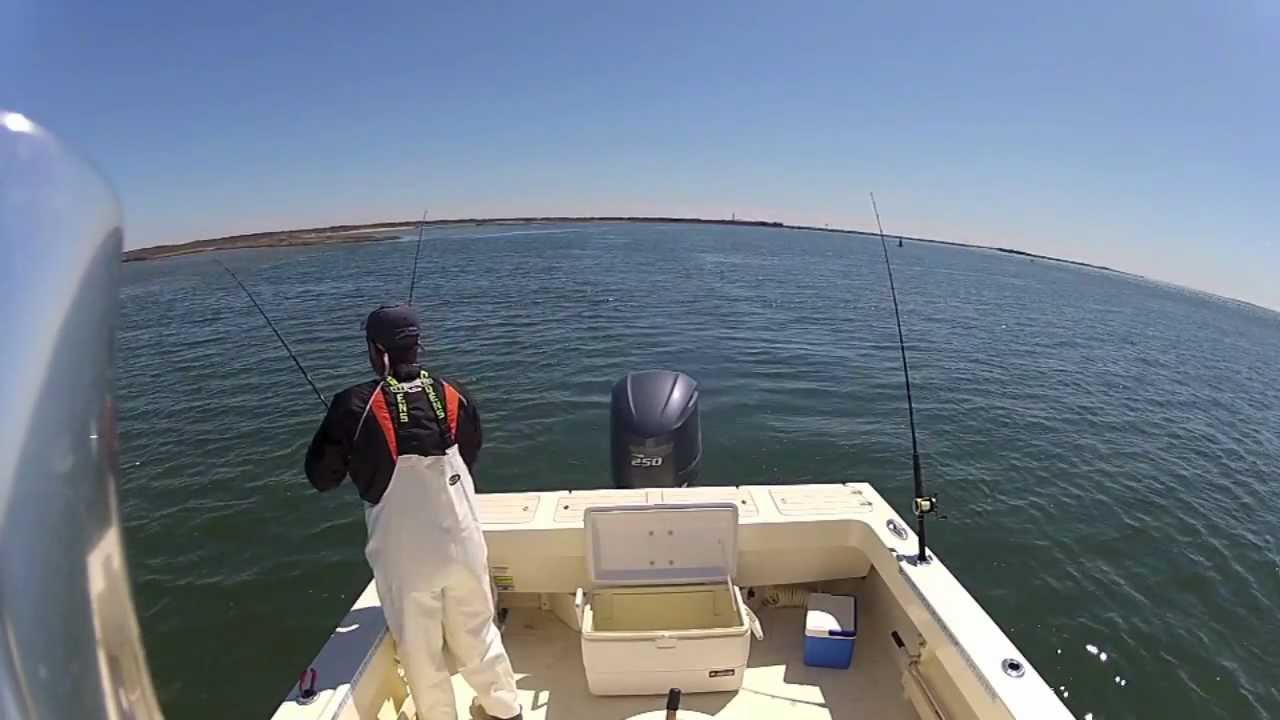 Barnegat Bay Striped Bass YouTube