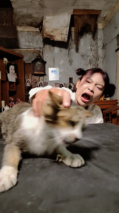 Kucing Kesurupan #shorts #cat #horror