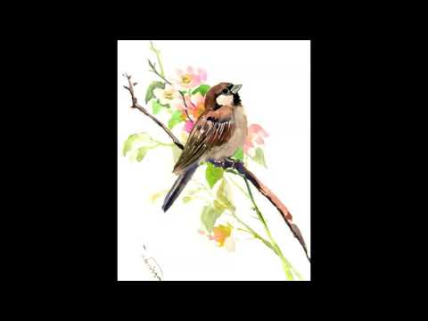 'Lesbia's Sparrow' by