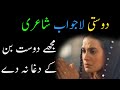 Mujhe dost ban ke daga na de  shakeel badayuni  dosti shayari  friendship poetry