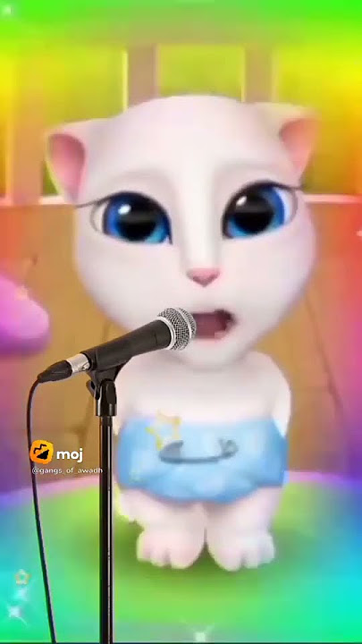 #hh #html cat comday song🙏🏽🙏🏽