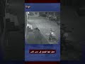 اختار الشخص الخطأ! لص يواجه محترف فنون قتالية 🥊🔥
