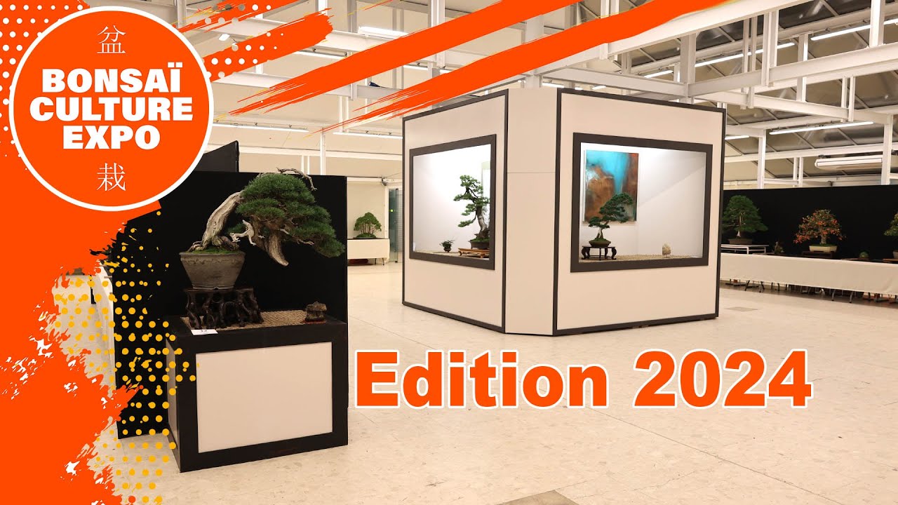 BONSAI CULTURE EXPO 2024