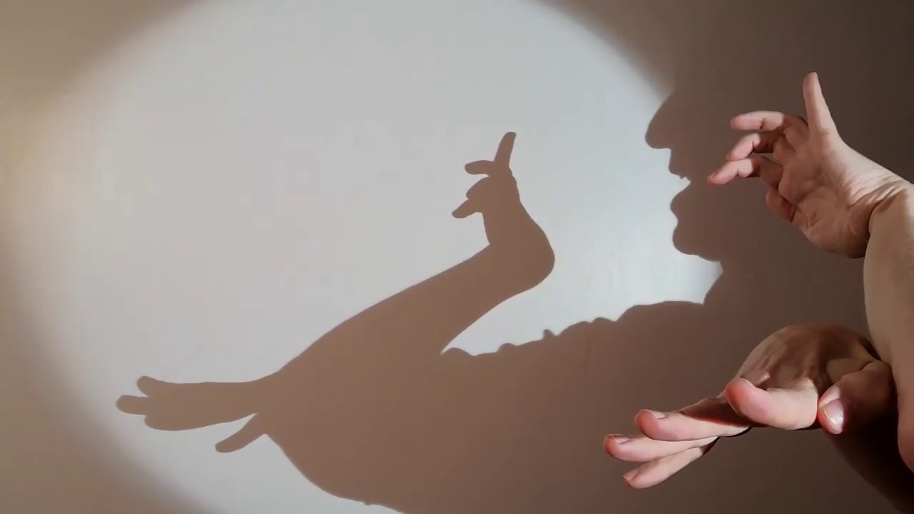 24 Guess the hand shadow animal - YouTube
