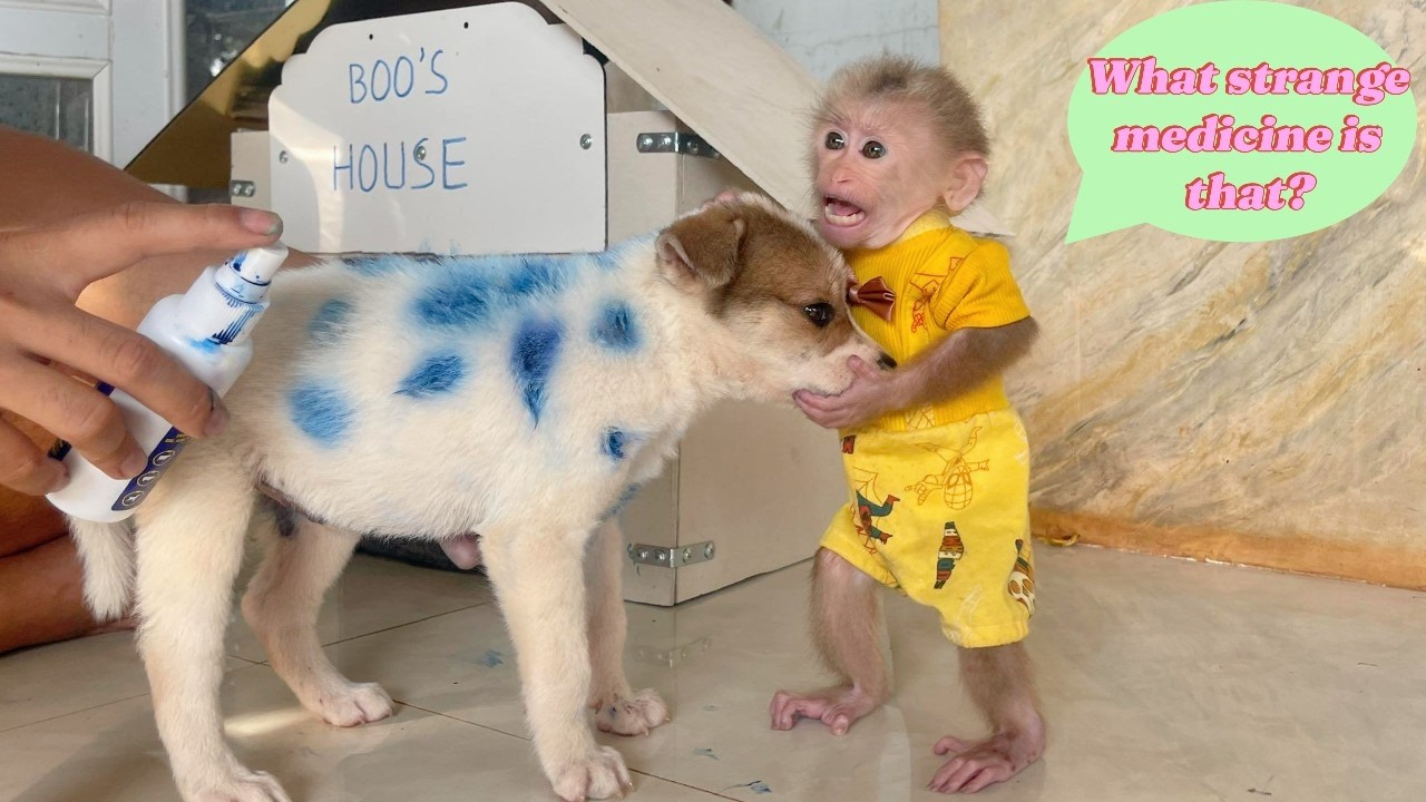 Lulu Watches in Surprise as Dad Uses a Special Method to Care for Boo