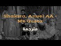 مـتـرجـمـة Shakira Anuel AA Me Gusta mp3