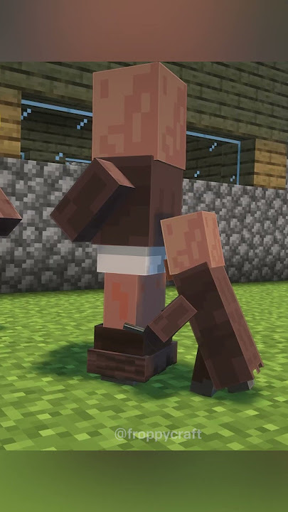 Minecraft Meme