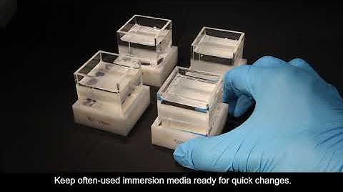 mesoSPIM sample handling