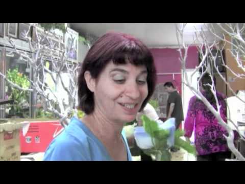 Flower Shop with Zoey Grayce, Aan Steele, Kraig Dane