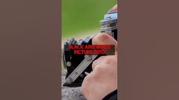 Unlock stunning colors! Pro tips for colorizing old photos with colorizethis.io.