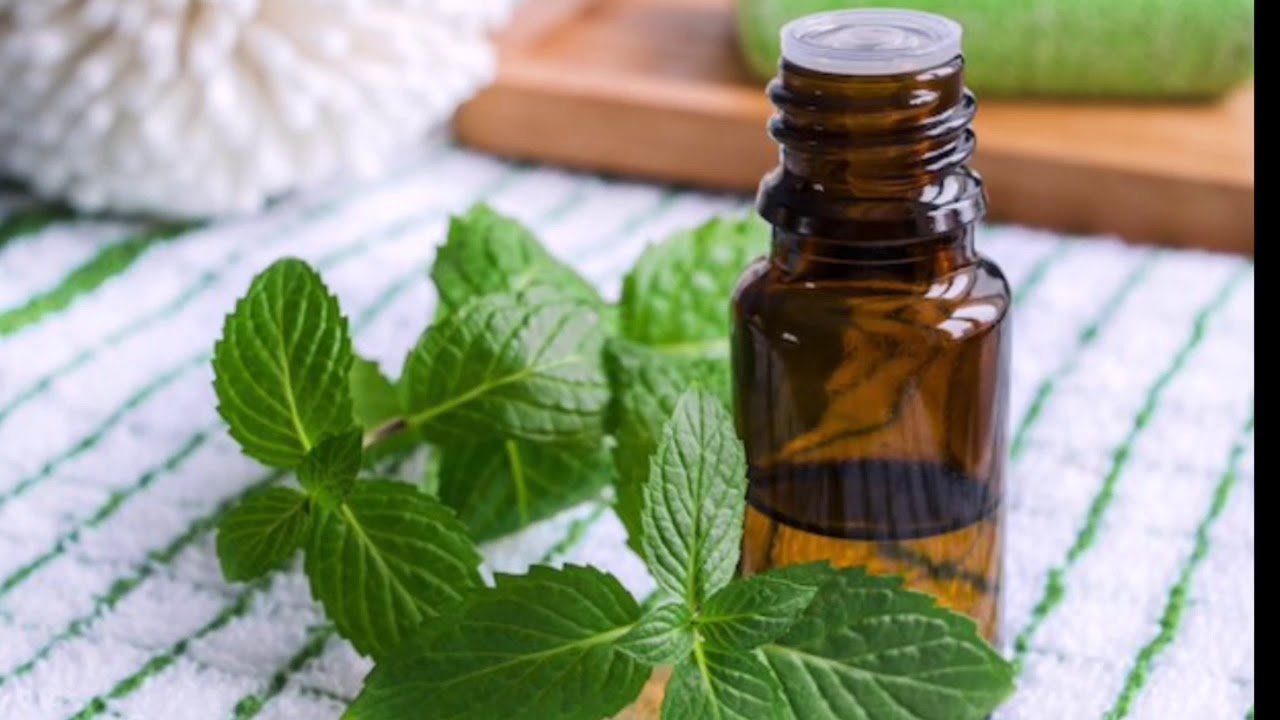 Olio Essenziale Menta Piperita Formazione Italiana Massaggi