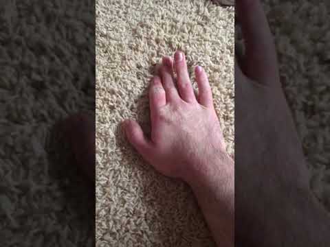 Краш фетиш трамплинг hands. Hand trample. Хард краш фетиш животных. Краш ханд трамплинг crush. Hand trample.