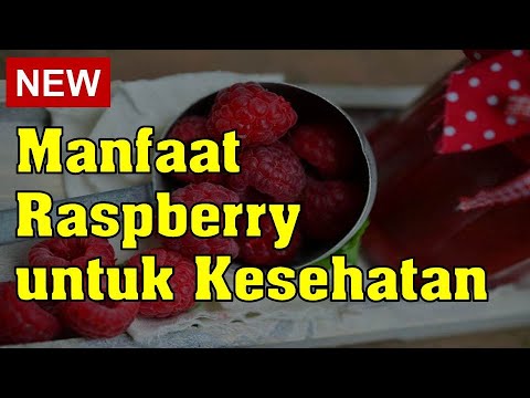 Video: Manfaat Raspberry
