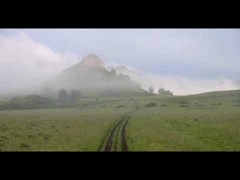 Vídeo: Tigireksky Nature Reserve: áreas naturais protegidas do Território de Altai