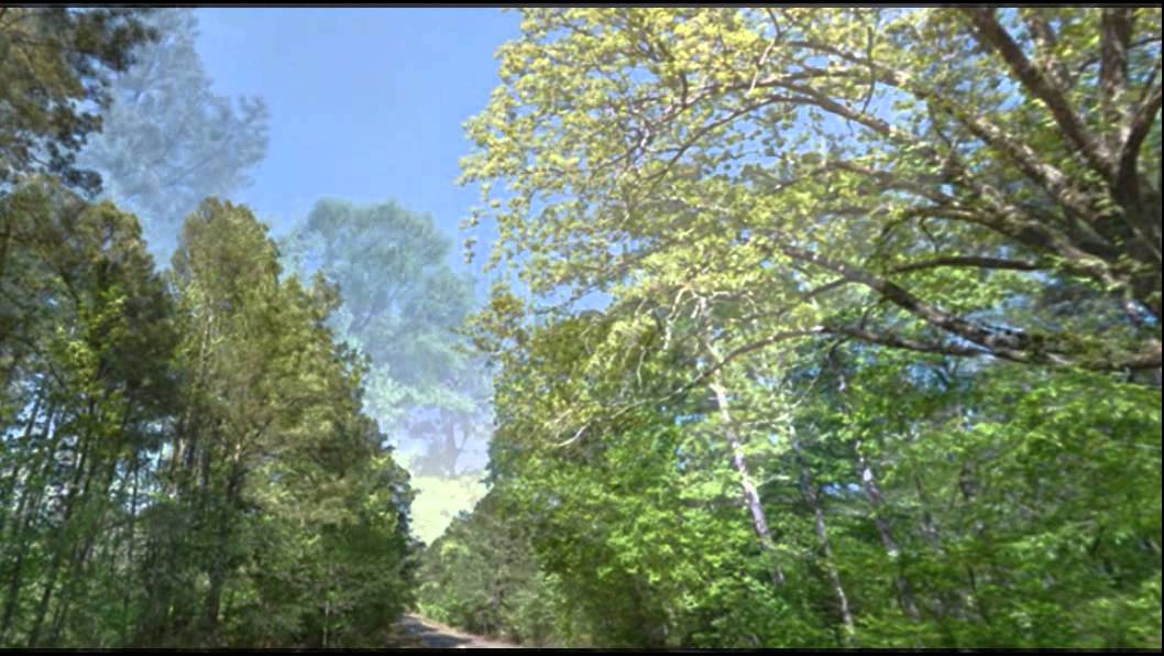 CHEAP LAND FOR SALE 0.61 Acres of Land for Sale Smackover, AR 71762