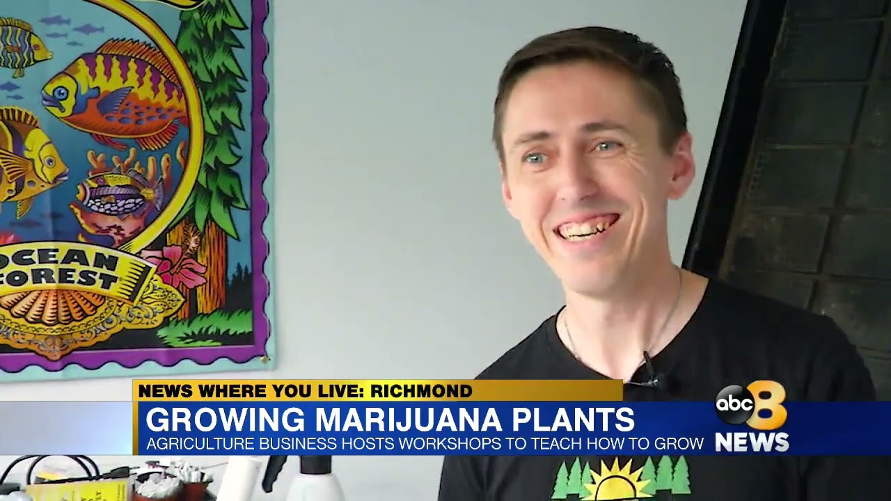 Agricultural business hosts workshops teaching how to grow marijuana plants