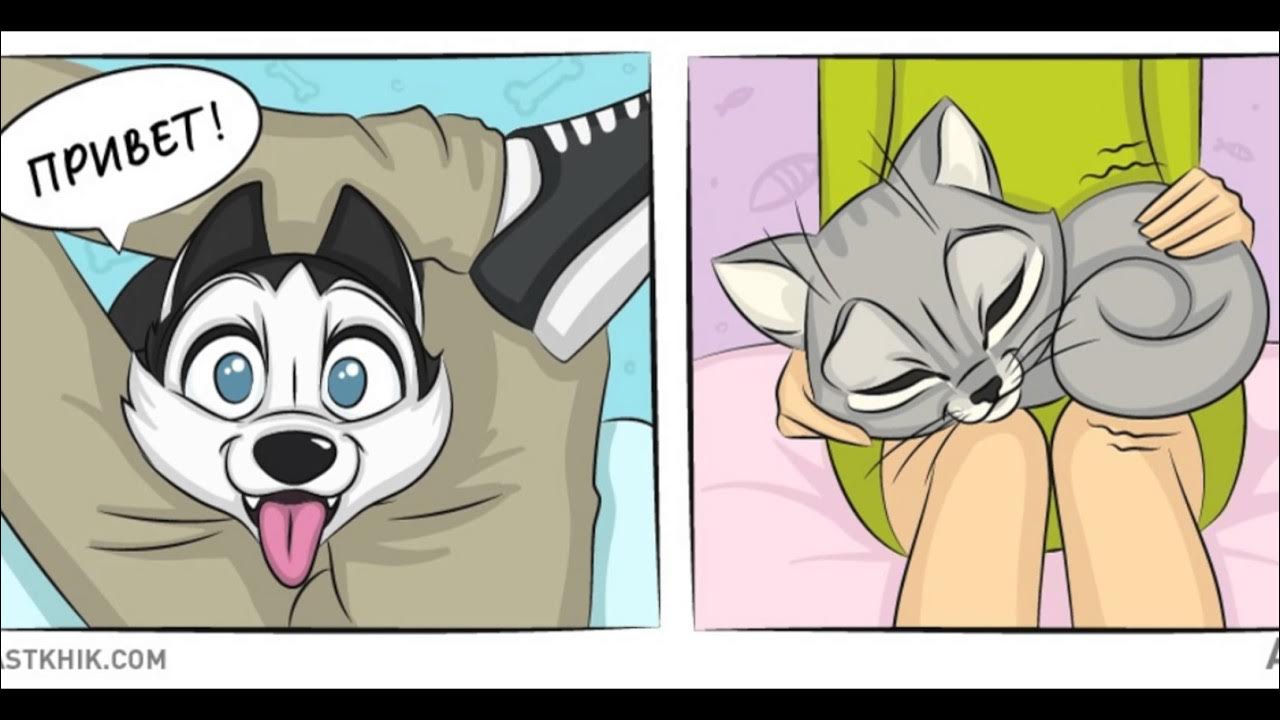 комиксы девочка и собака. смешные комиксы про собак. комиксы про собак и хозяев. смешные комиксы. комиксы девочка и собака.