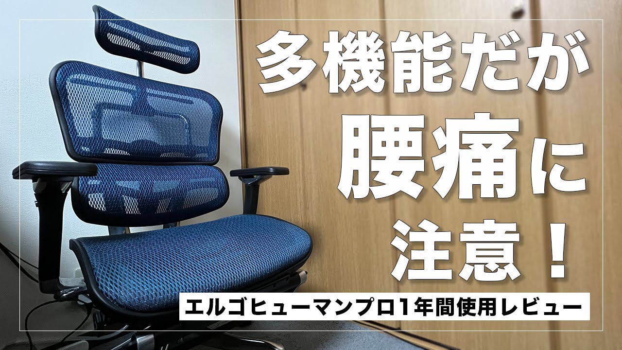 レビュー エルゴヒューマンプロを1年使用 多機能だけど腰痛に注意 Youtube