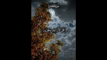 تلاوة مباركة من سورة المطففين#قرآن #سورة_المطففين #علي_صلاح_عمر