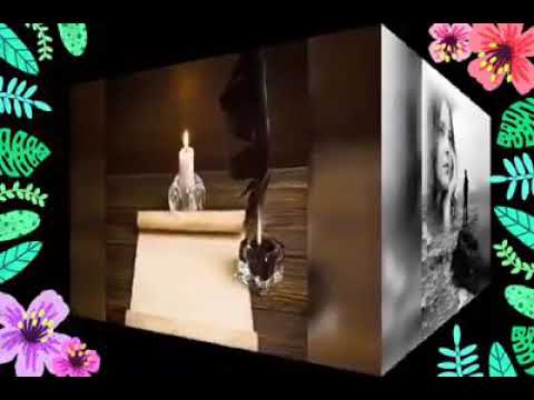 تخسرى هانى شاكر