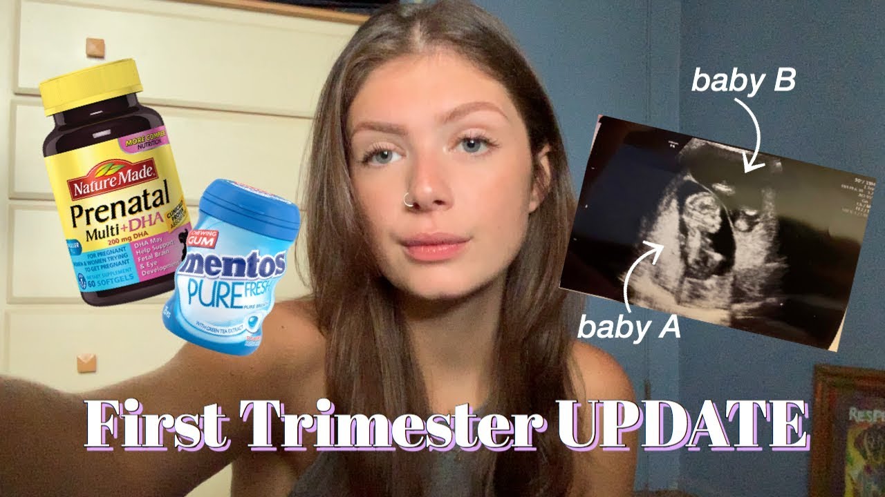 twin pregnancy first trimester update: morning sickness?, cravings, and