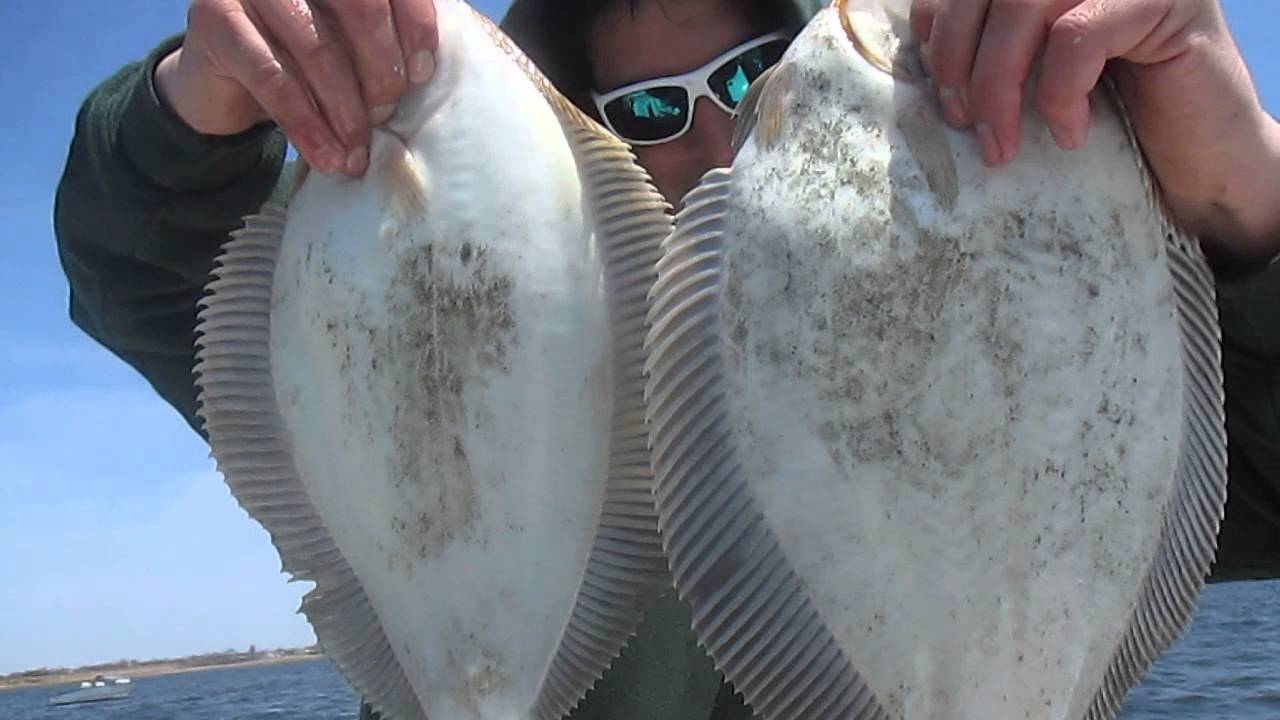 JAMAICA BAY FLOUNDERS WITH SFISHERMAN89 AND BRIAN YouTube