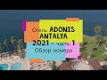 Обзор номера Adonis Antalya 2021