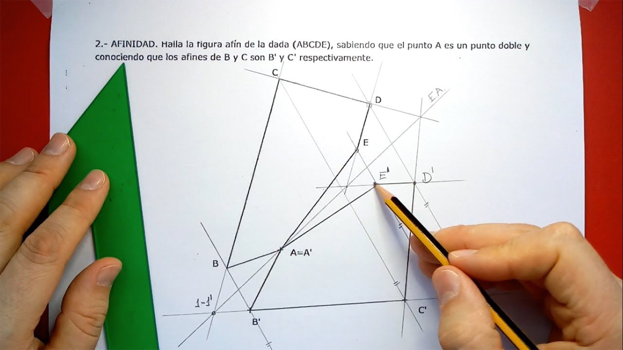 Homología. Afinidad. Selectividad Extremadura Junio 2019.